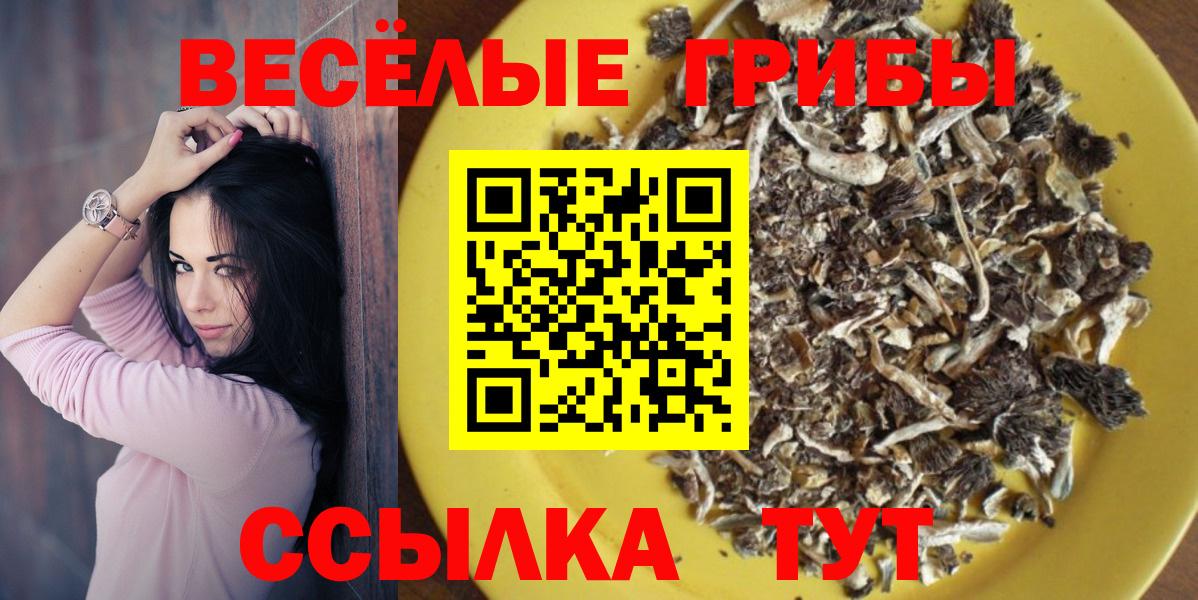 Псилоцибиновые грибы GOLDEN TEACHER Искитим
